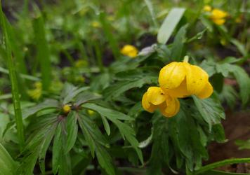 L'expérience unique du chauffeur privé à Paris : une expérience inoubliable