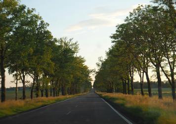 L'expérience unique du chauffeur privé vers Disneyland